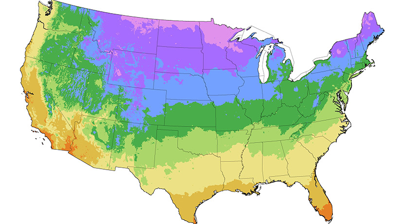 USDA Plant Hardiness Zone Map and How to Use It | Garden Gate