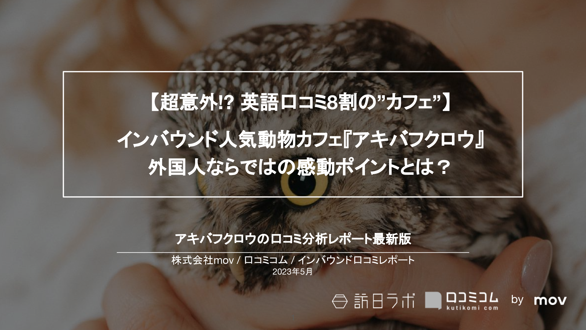 【超意外!? 英語口コミ8割の”カフェ”】インバウンド人気動物カフェ『アキバフクロウ』 外国人ならではの感動ポイントとは？