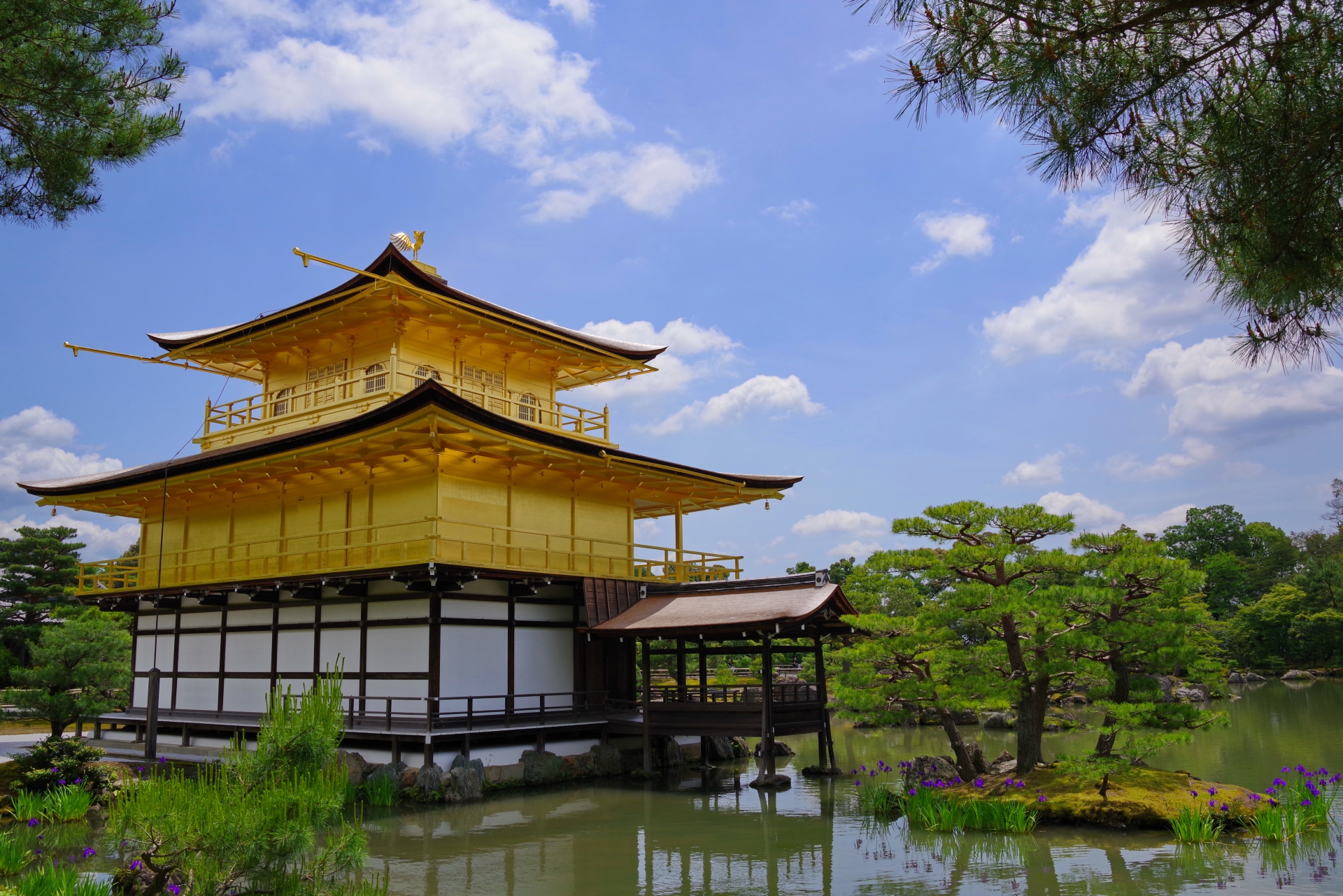 北山でおすすめの歯科矯正医院3選！選ぶ際に抑えるべきポイントもご紹介