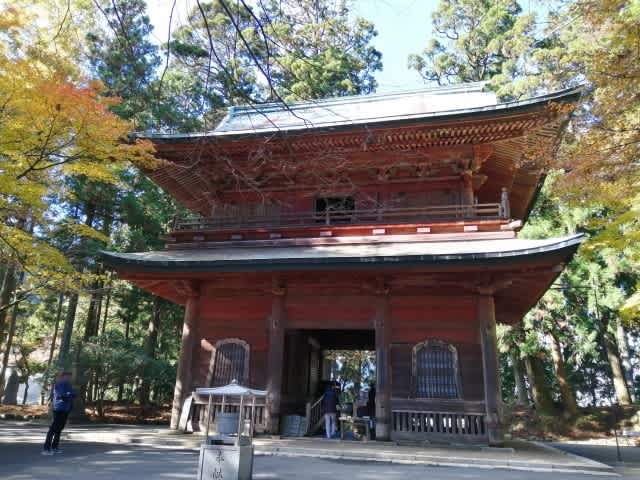 坂本でおすすめの歯科矯正医院3選！選ぶ際に抑えるべきポイントもご紹介