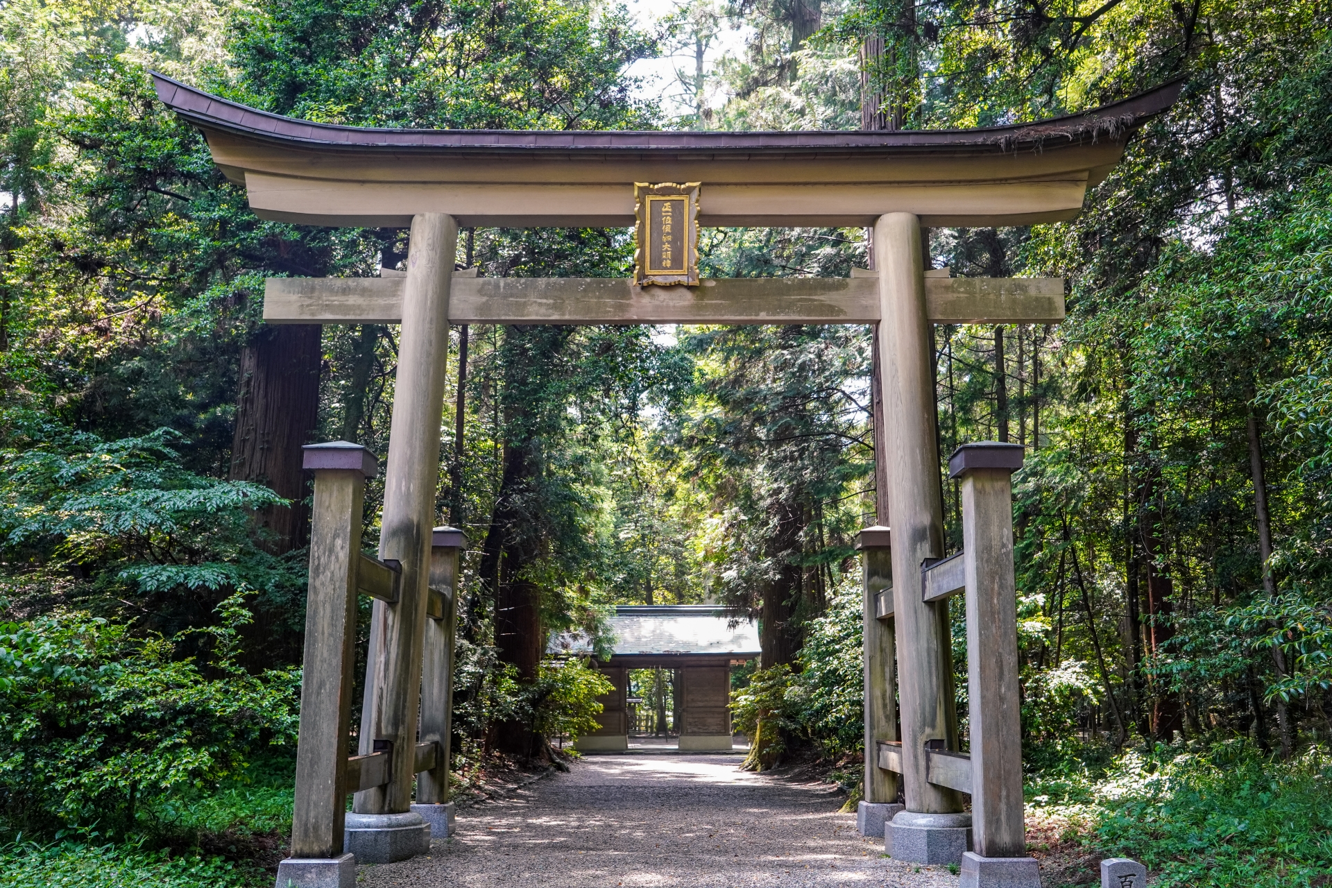 山崎でおすすめの歯科矯正医院4選！選ぶ際に抑えるべきポイントもご紹介