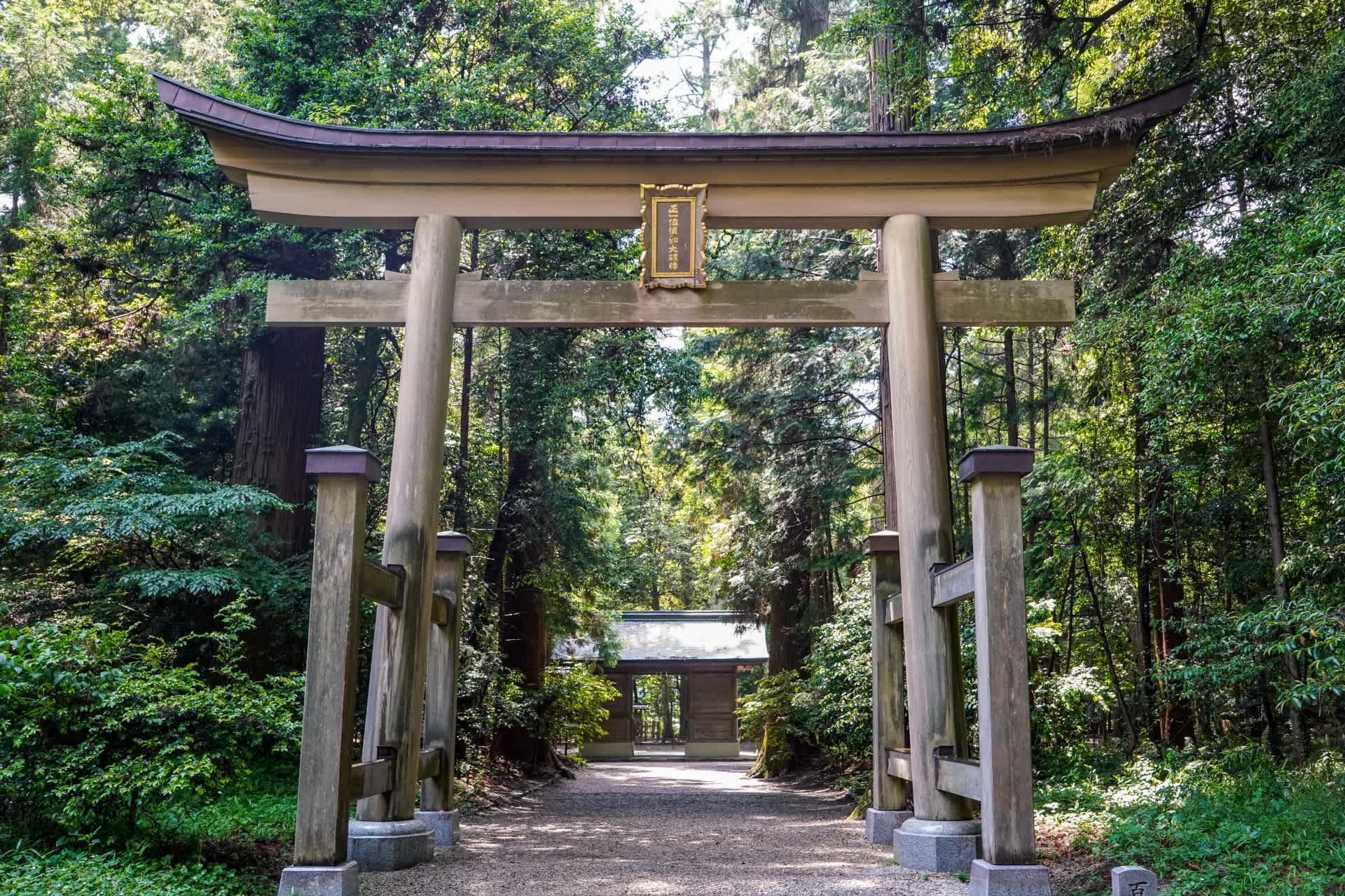 山崎でおすすめの歯科矯正医院4選！選ぶ際に抑えるべきポイントもご紹介