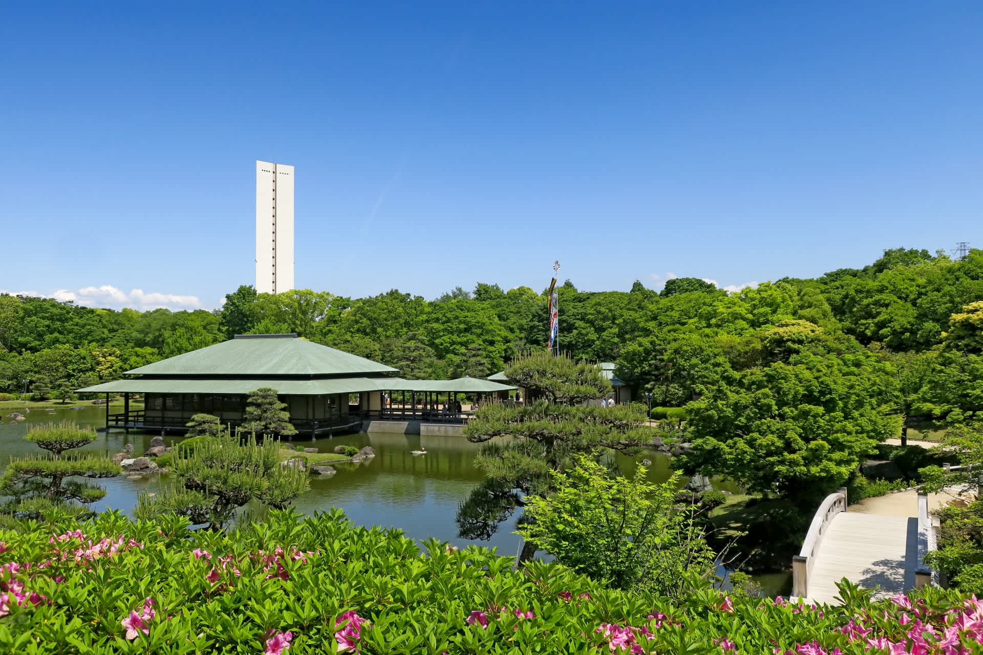 堺市でおすすめの歯科矯正医院5選！選ぶ際に抑えるべきポイントもご紹介