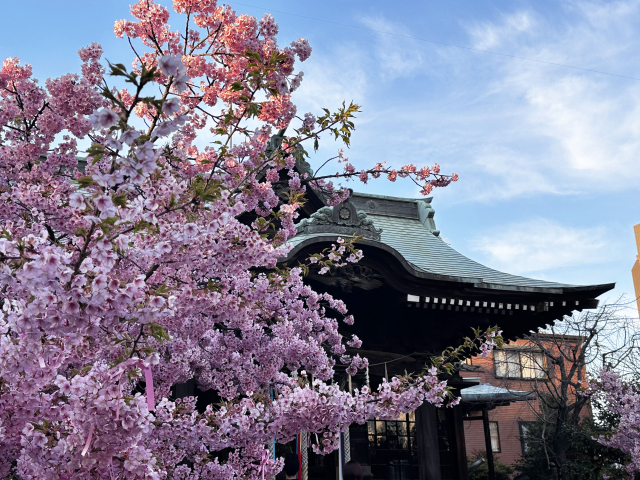 桜新町でおすすめの歯科矯正医院5選！選ぶ際に抑えるべきポイントもご紹介