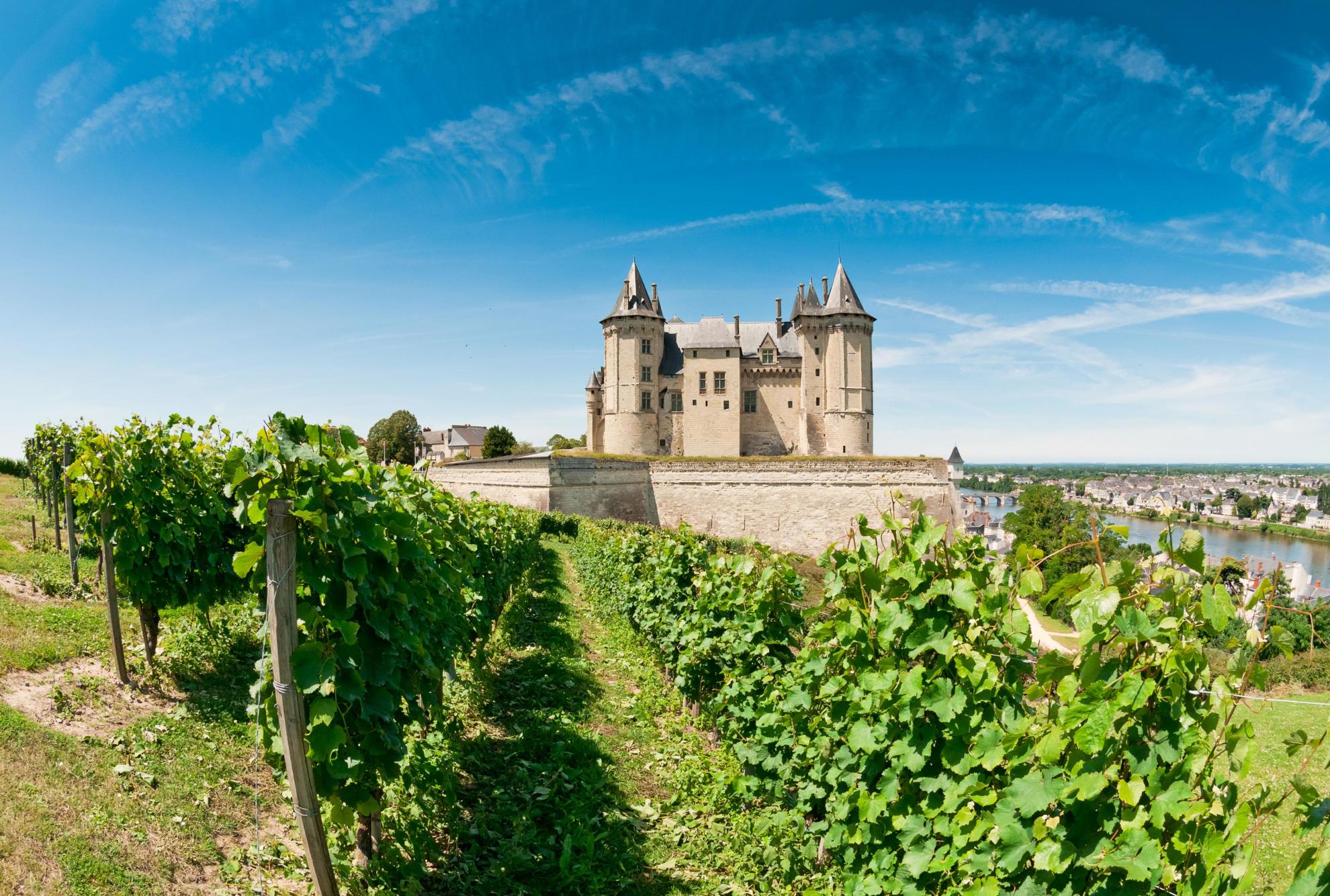 Château de Saumur © Shutterstock