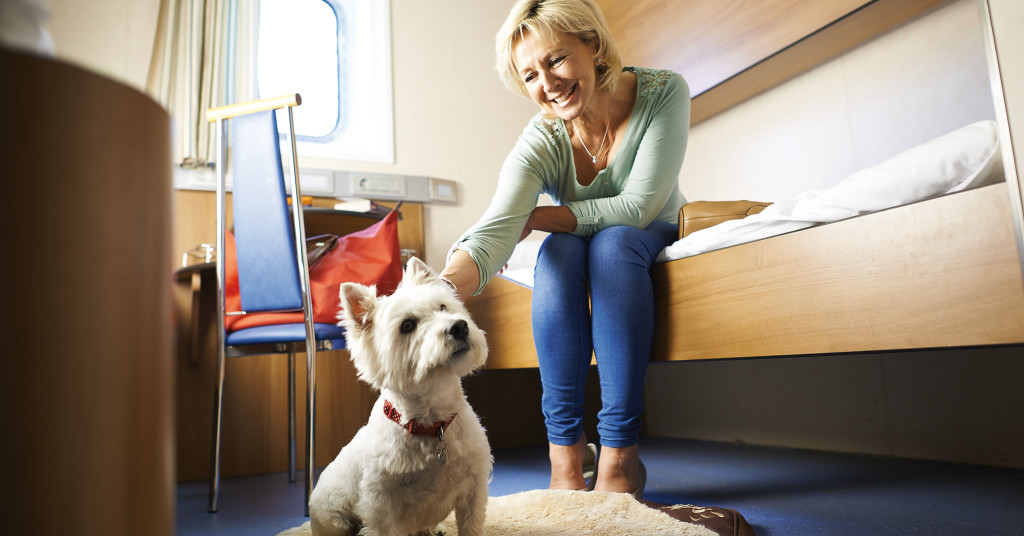 PetFriendly Holidays in France & Spain Brittany Ferries