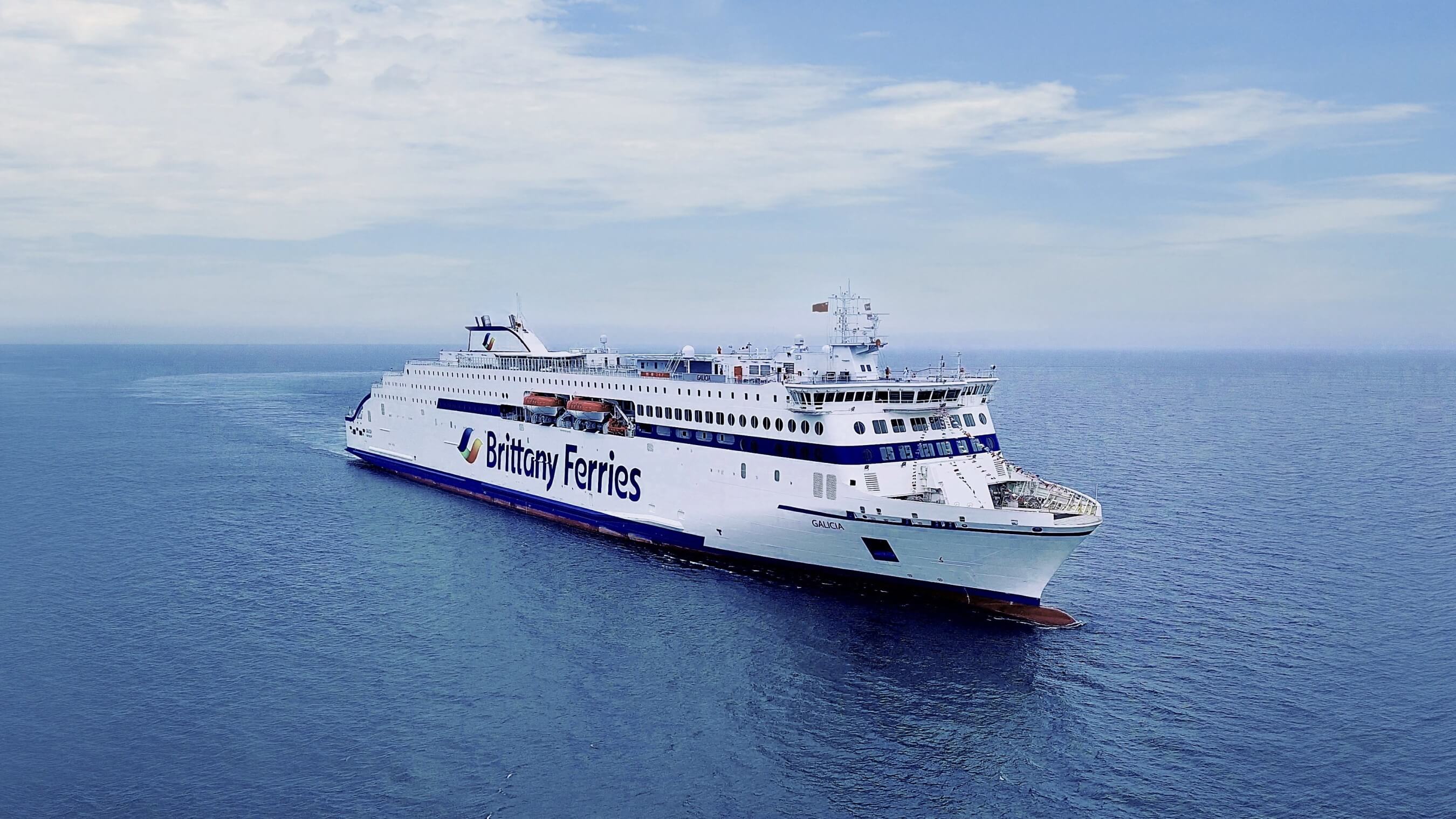 Brittany ferries best sale and dogs