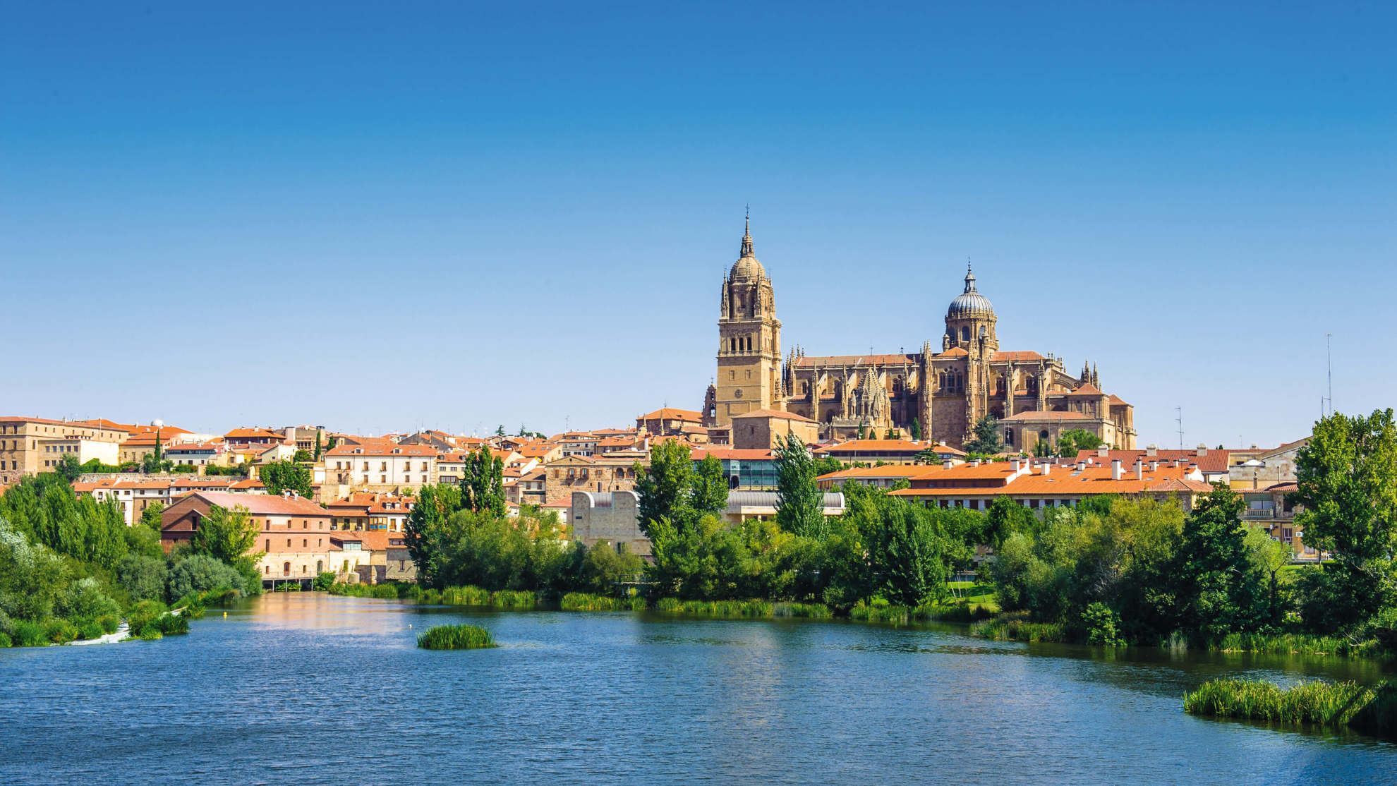 View of Salamanca's cathedral from across the river