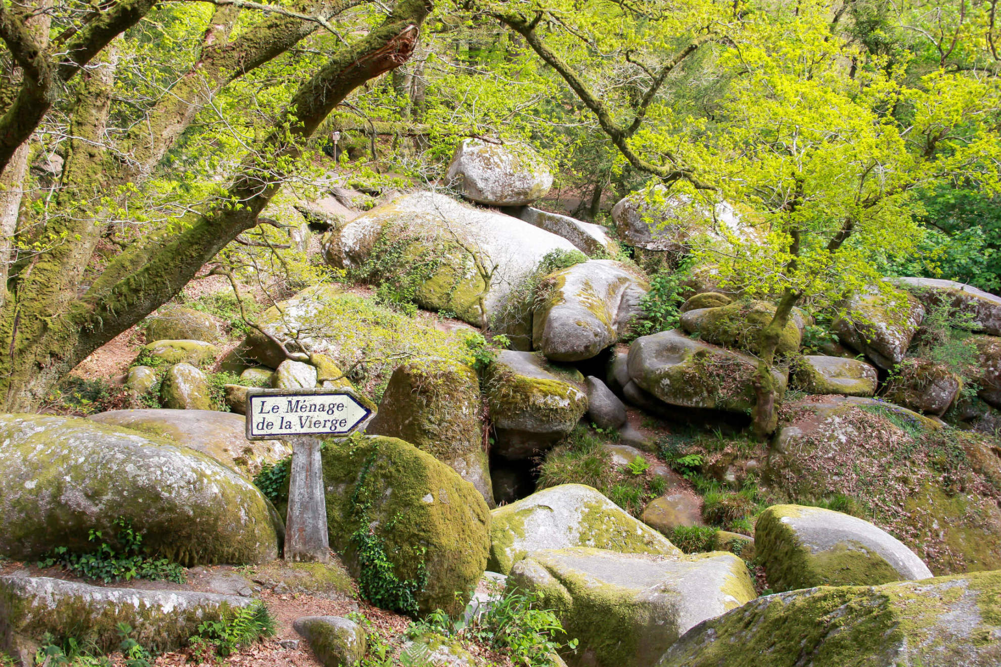 Boulders and signpost in the forest of Huelgoat © Donatienne Guillaudeau, BRTC