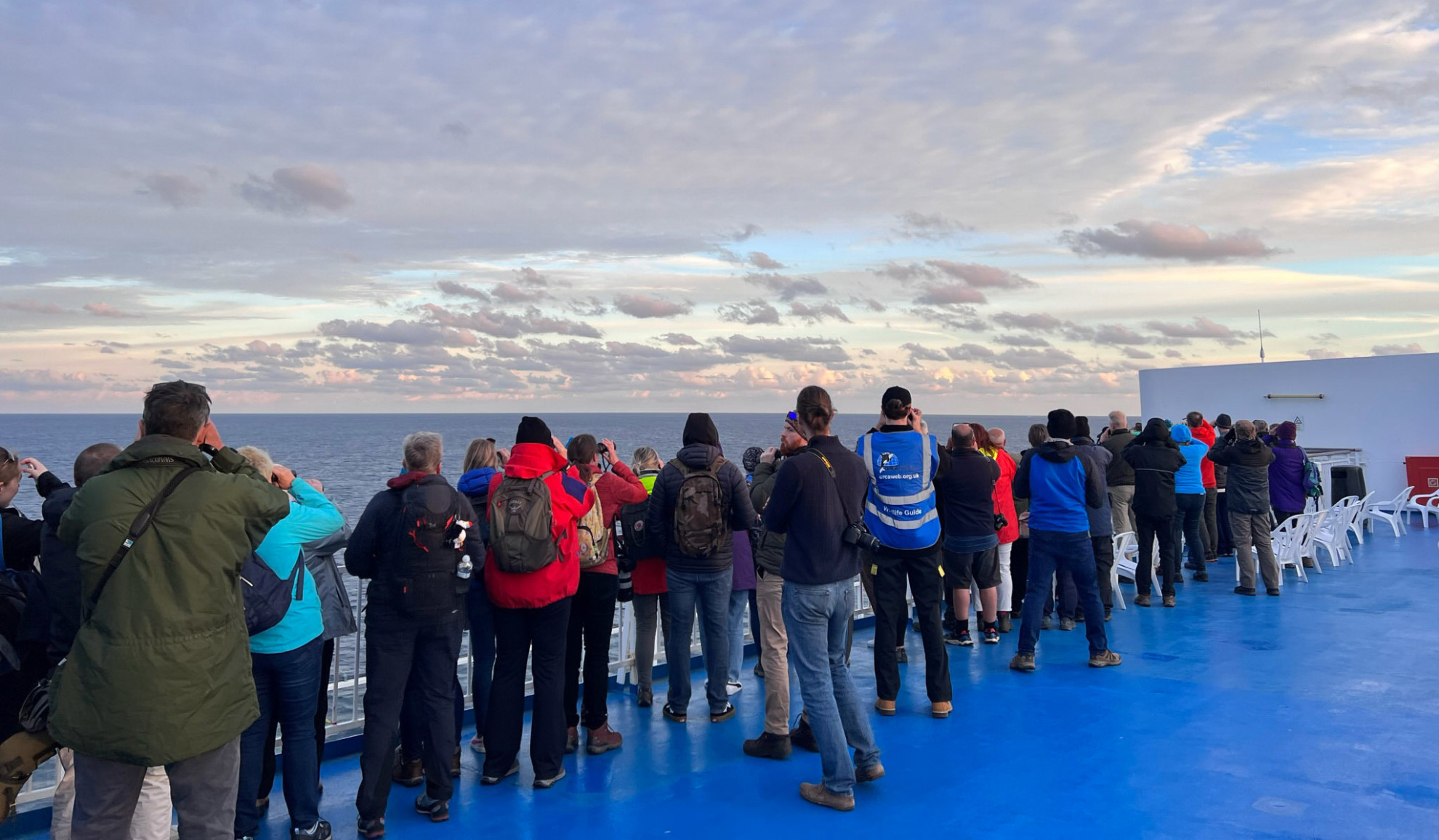 A group of people on deck watching for whales and dolphins