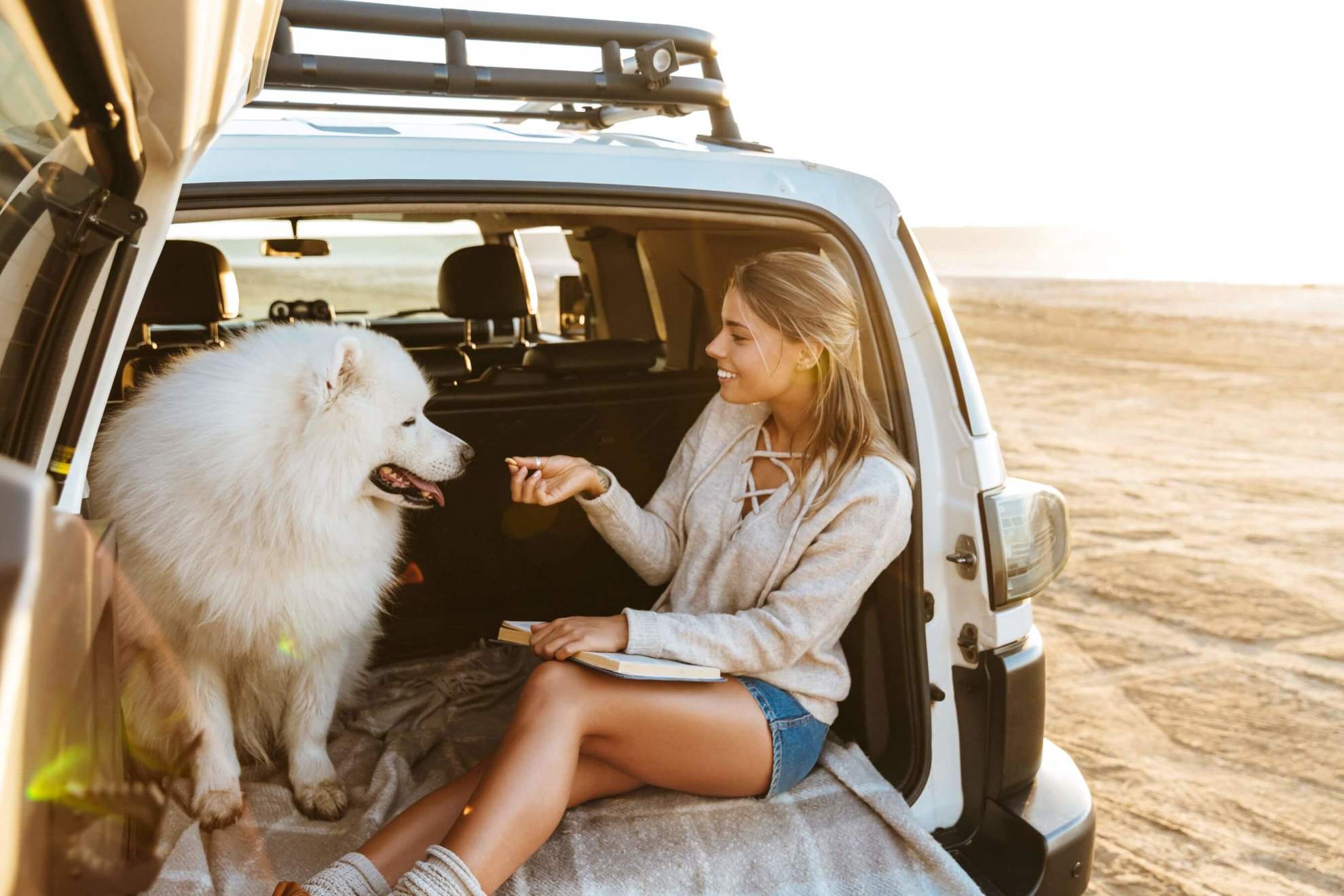 Dog and woman in back of jeep on beach