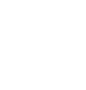 JP - Celonis Day Tokyo Logo