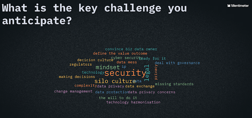 Security and privacy was the top challenge. 