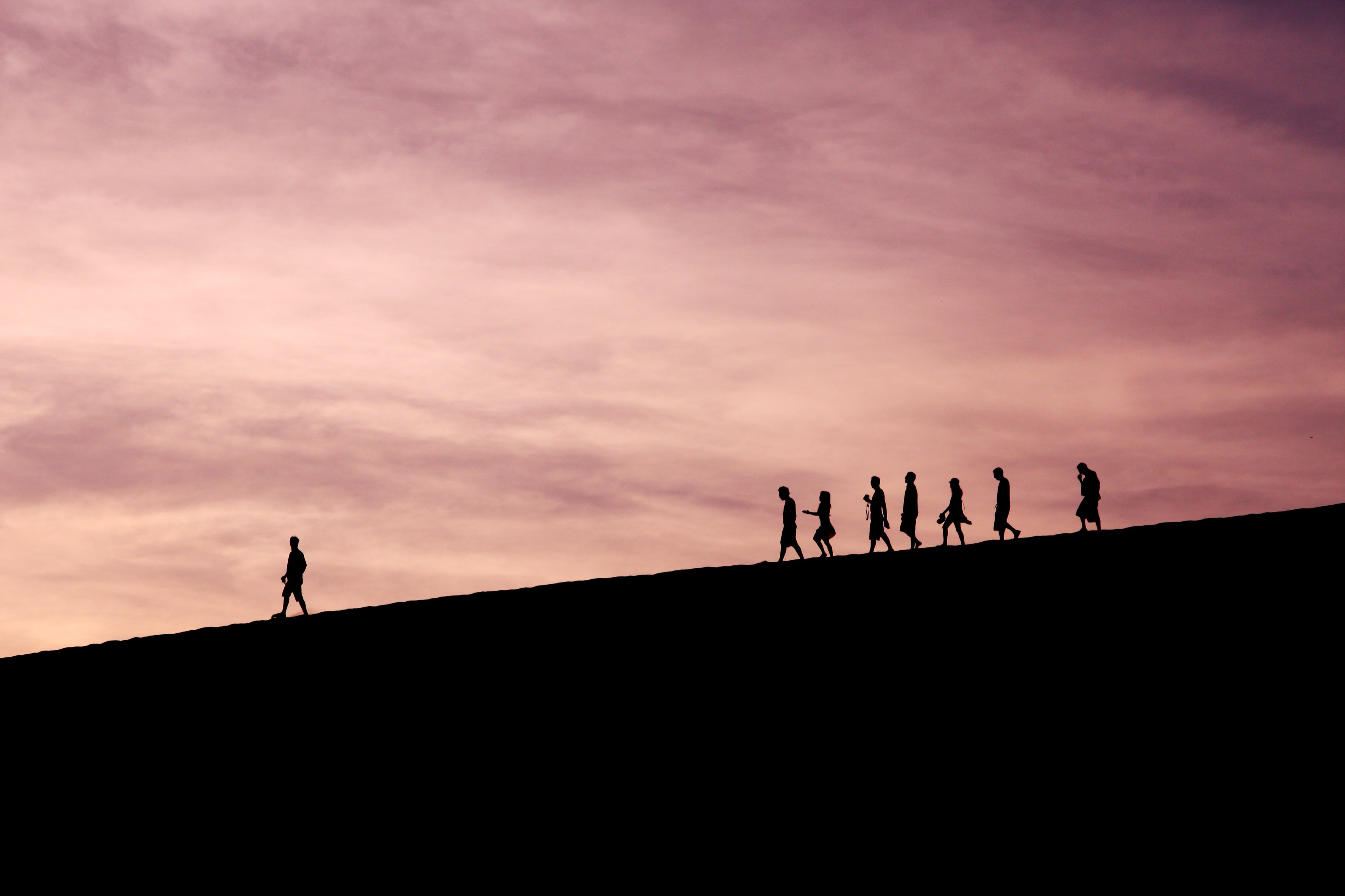 Team wandering across the desert