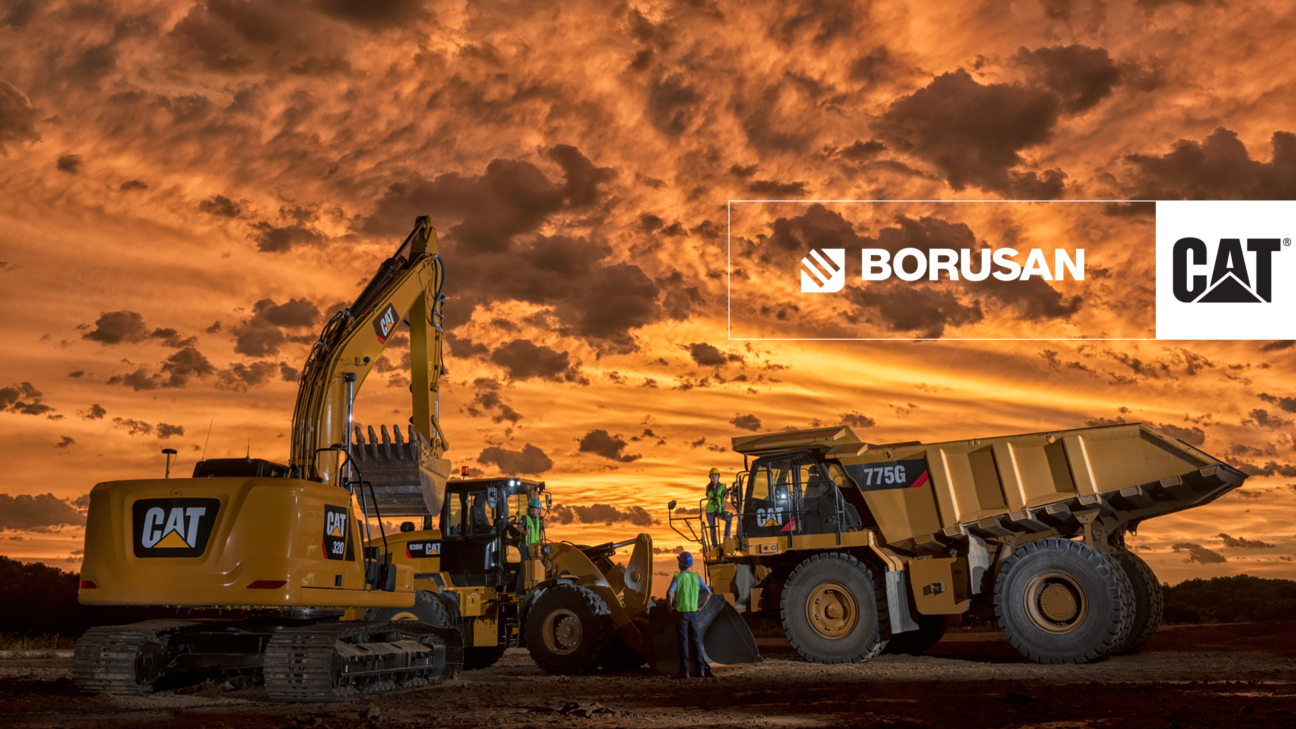 borusan cat blog header image