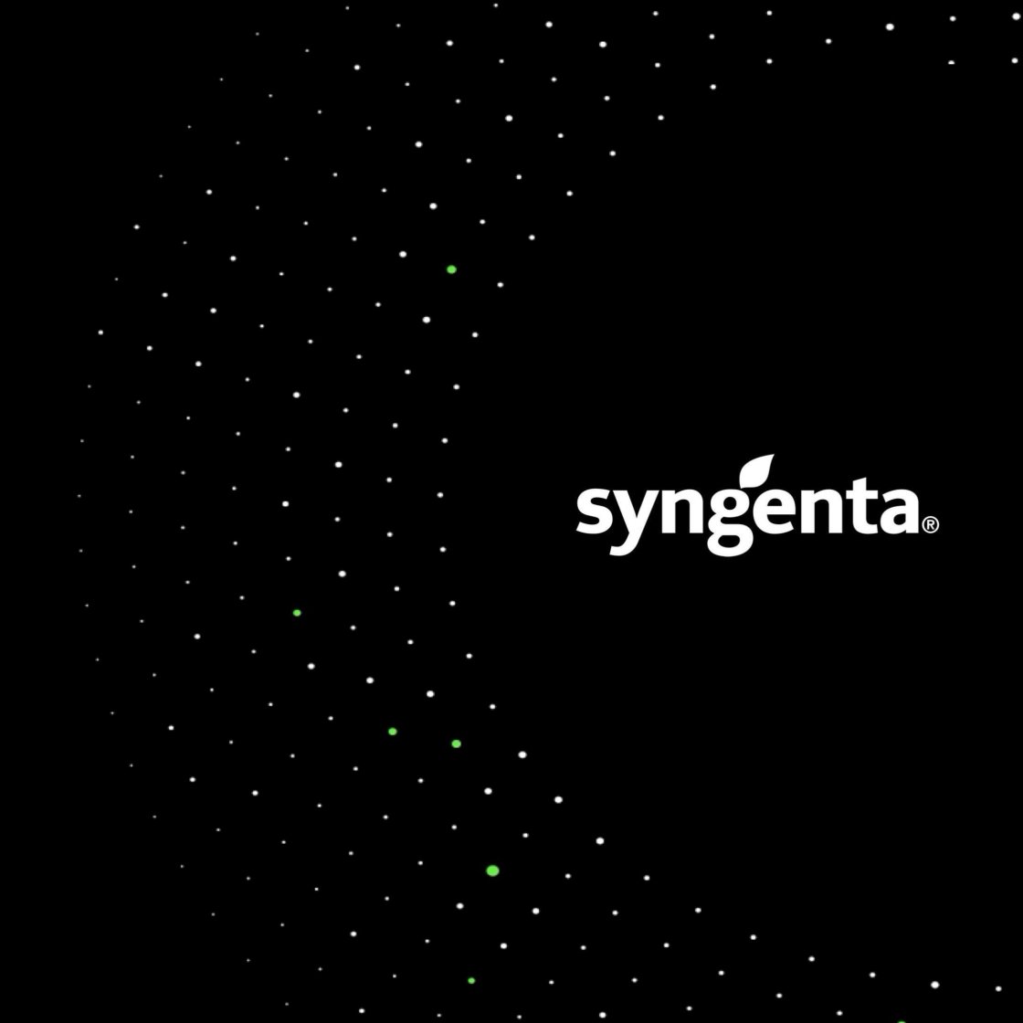 Syngenta - Meta