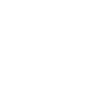 KPMG Logo (white)