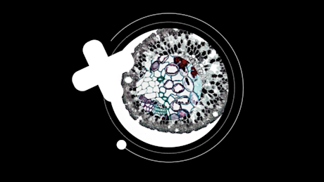 Embracing the Next normal for Pharma