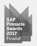 SAP Pinnacle Awards 2017 4x --b & w
