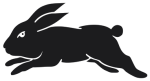 rabbit-rlnt7emdb58pttpldh7bcv7wgzbpfu87ghp3f9besq