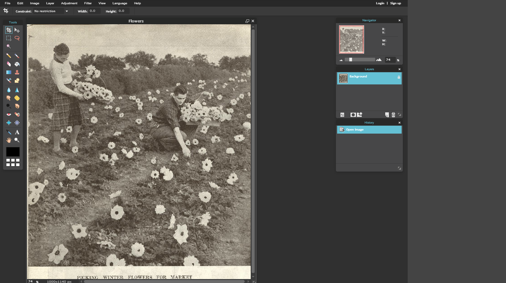 Screenshot of a photo of a woman and a man picking flowers from a field in a photo editing software program