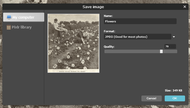 Screenshot of the 'Save image' menu in a photo editing program