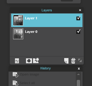 Close up of the layers tool bar with the layer 1 selected