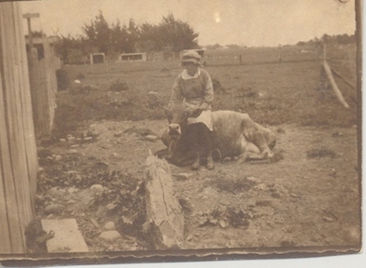 A black and white photo of a woman sitting on a cow.