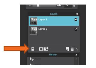Close up of the layers tool bar with the layer 1 selected and an arrow pointing at the toggle layers button