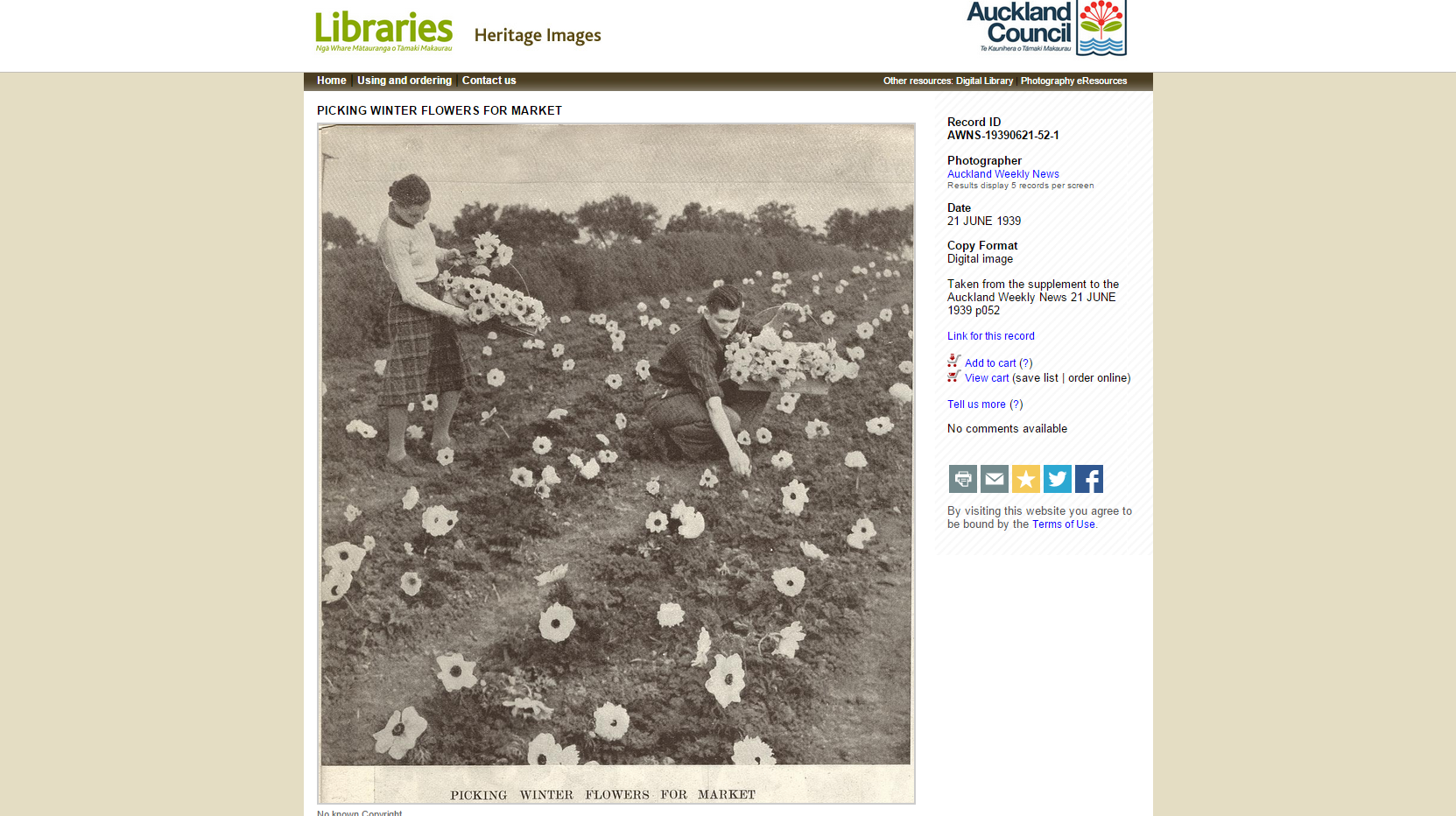 Screenshot of a photo of two a woman and a man picking flowers from a field, and descriptive metadata about the image