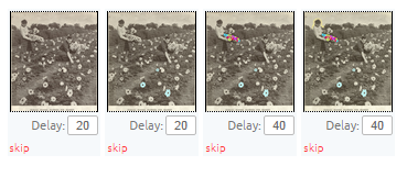 Four versions of the photo in a GIF editing program