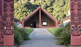 Traditional Māori wharenui viewed through carved pou whenua, with a pathway and native landscaping leading to the entrance.