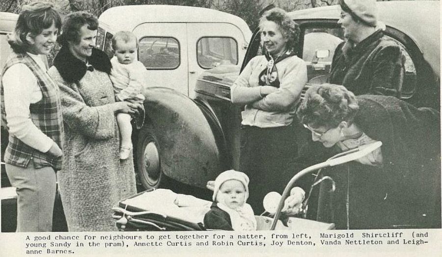 A group of women and children standing between parked cars.