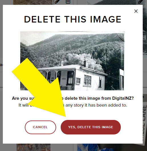 Cropped area of DigitalNZ webpage with a yellow arrow pointing to a 'Yes delete this image' button.