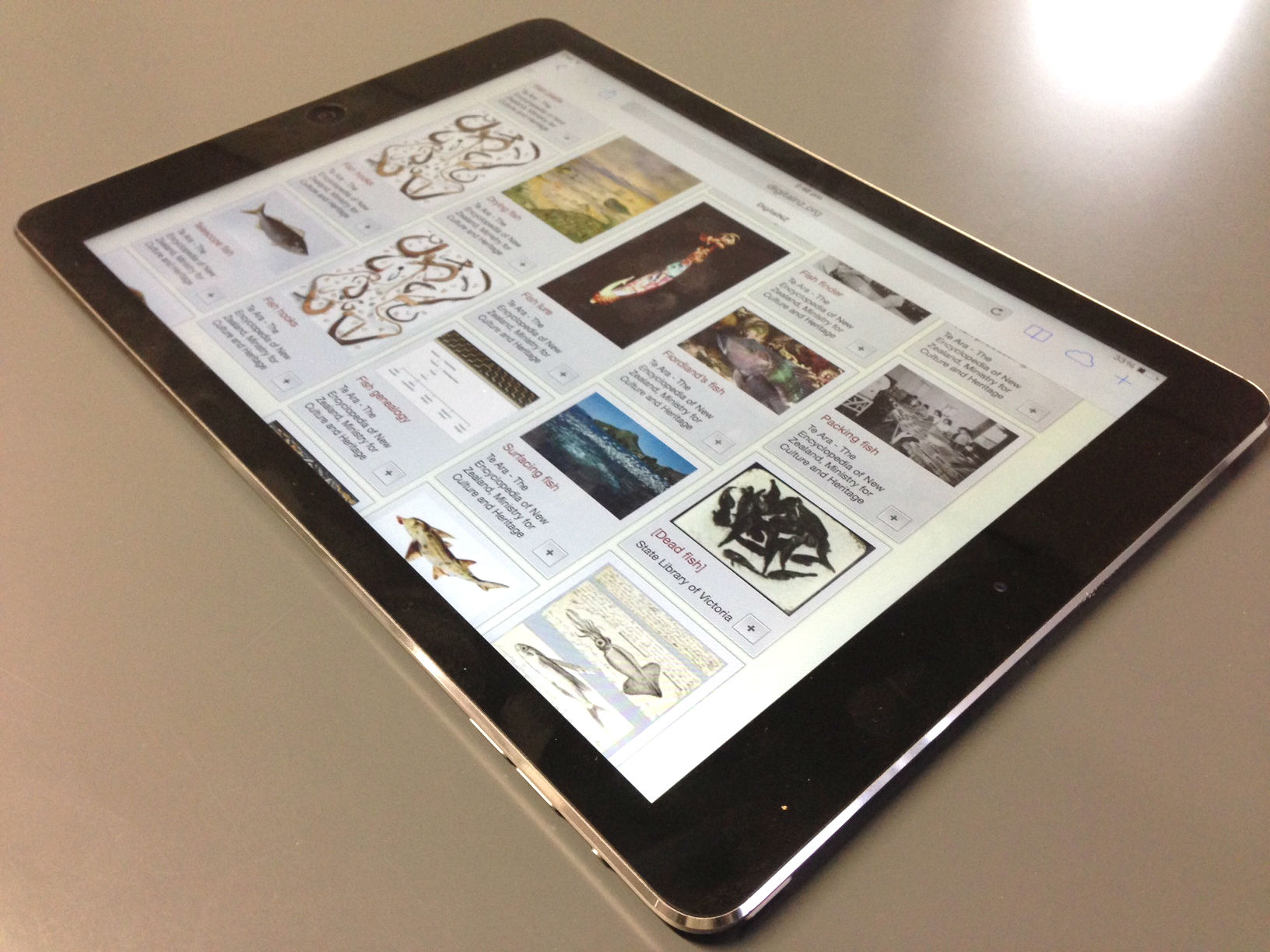An iPad with showing the DigitalNZ website.
