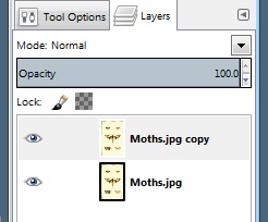 GIMP window with dropdown menu showing 'opacity' selected.