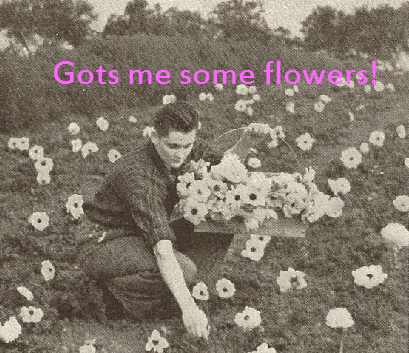 Close up of a photo of a man picking flowers with pink text 'Gots me some flowers!' added