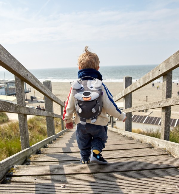 Affenzahn-Kinderrucksack-Hund-Treppe-Strand