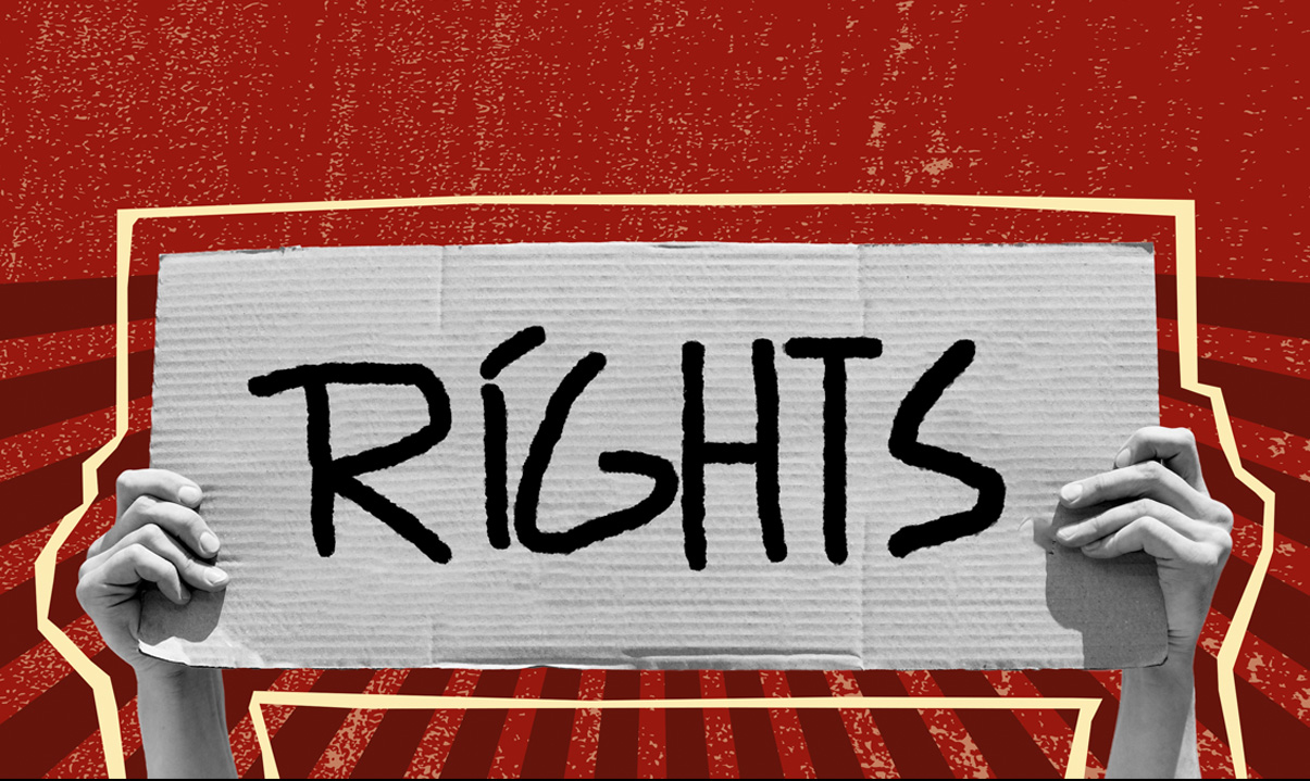 Know Your Rights Before Investing in NFT Assets Redlion News