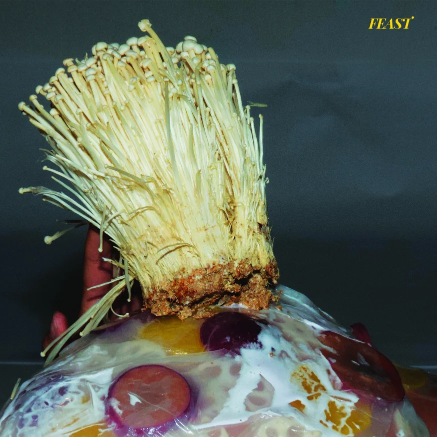 feast_mushroom
