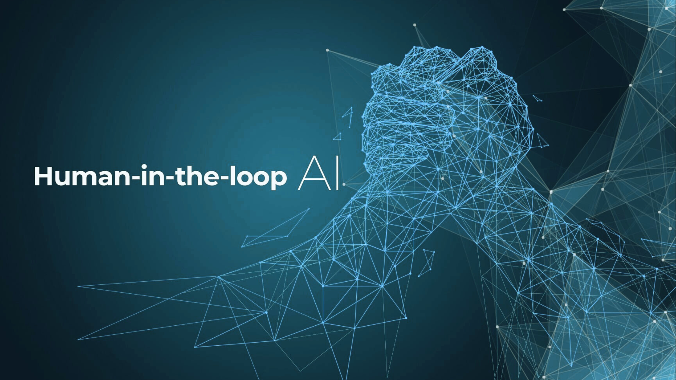 Human In The Loop