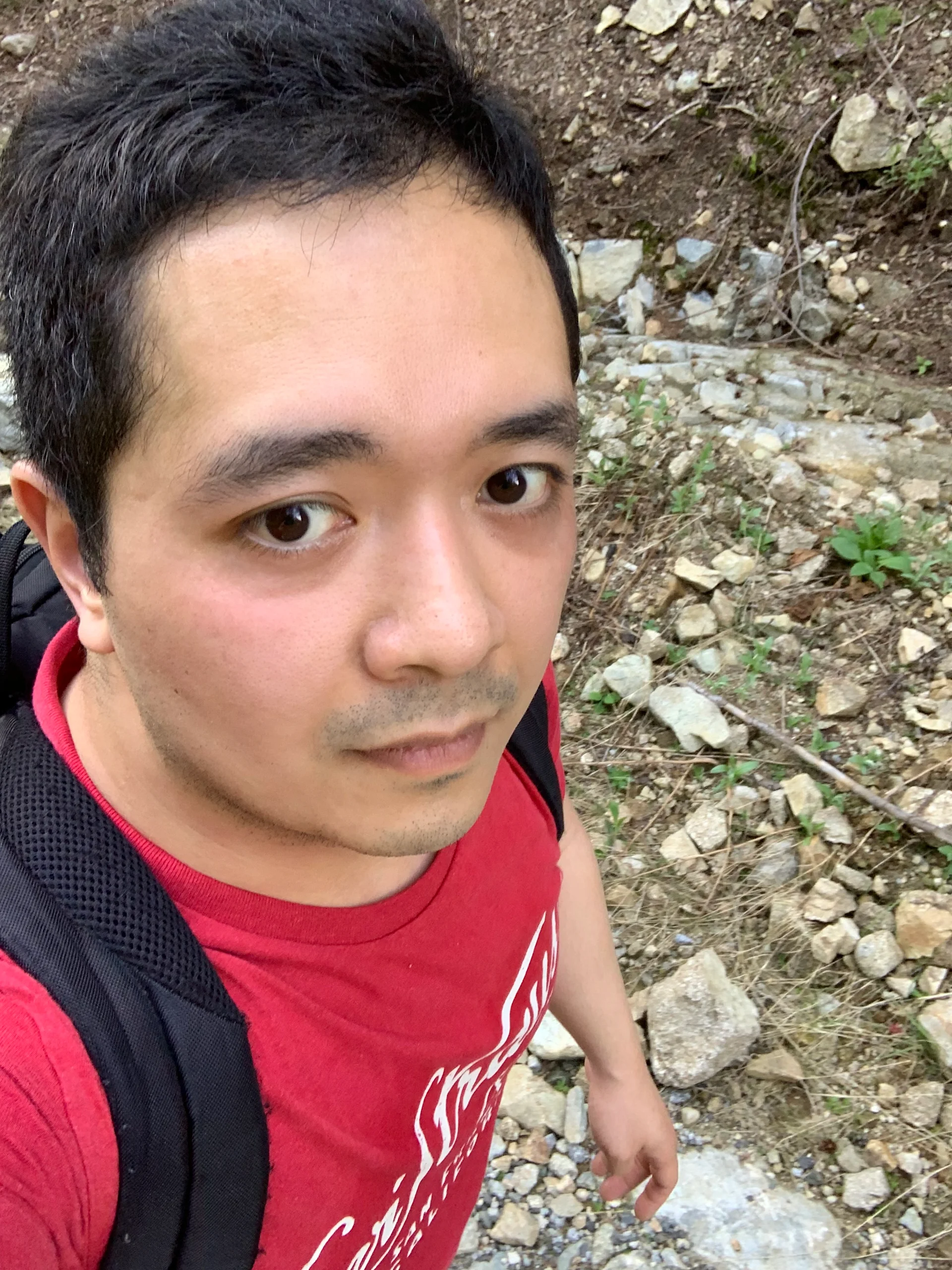 TypeScript Integration with .env Variables - This Dot Labs