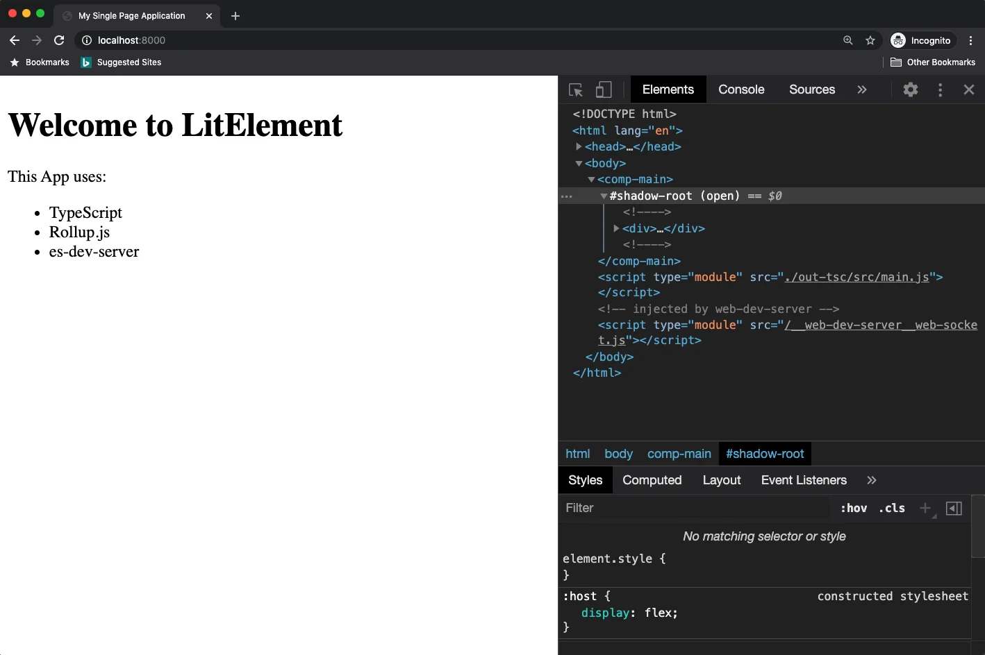 LitElement App build with TypeScript and Rolluplitelement-app-typescript-rollup