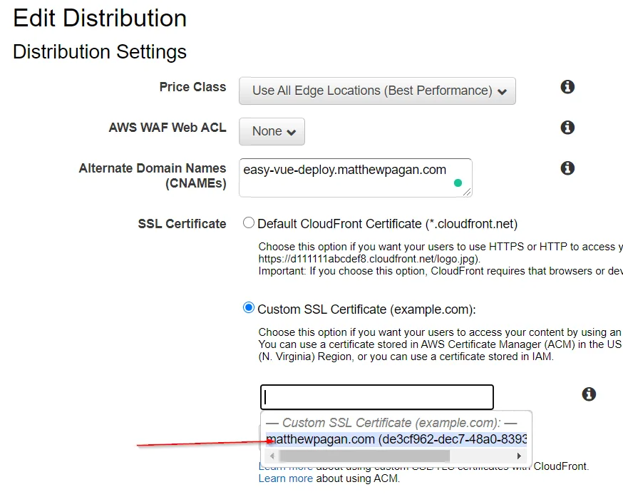 CloudFront Domain