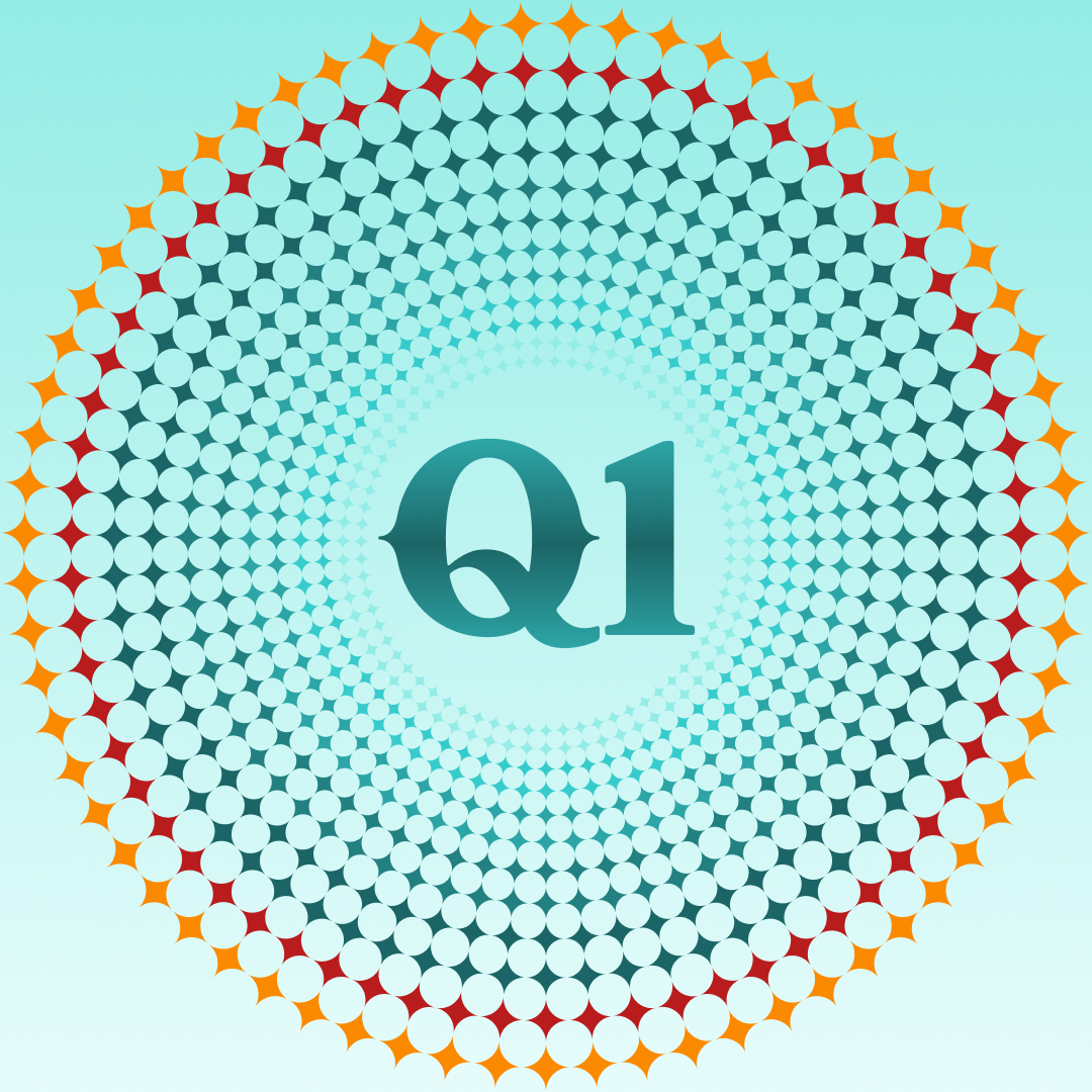 Q1 2025 Update