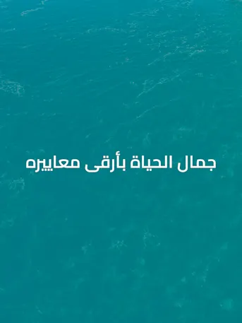 Shoreline by DAMAC-Gallery-15-AR