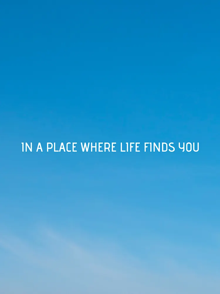 Radisson Dubai DAMAC Hills-Gallery-17