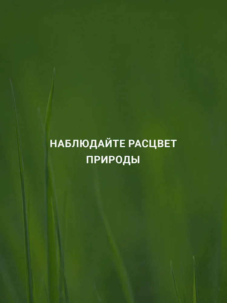 DAMAC Hills-Gallery-07-RU