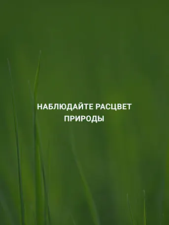 DAMAC Hills-Gallery-07-RU