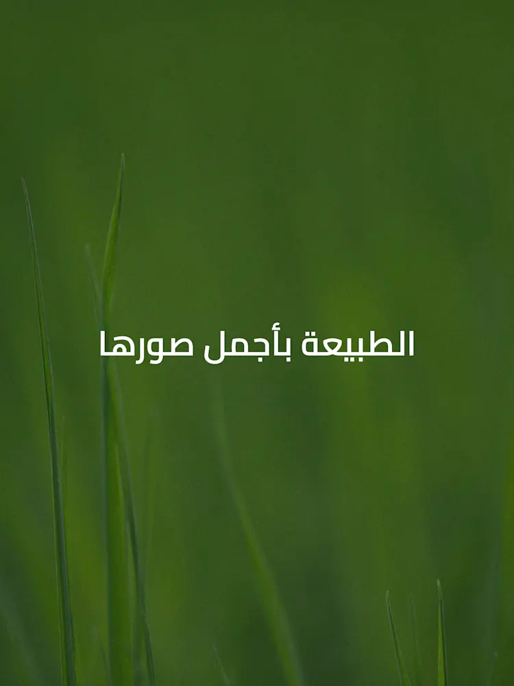 DAMAC Hills-Gallery-07-AR
